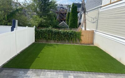 Where Turf Meets Trust–Expert Care from Start to Finish