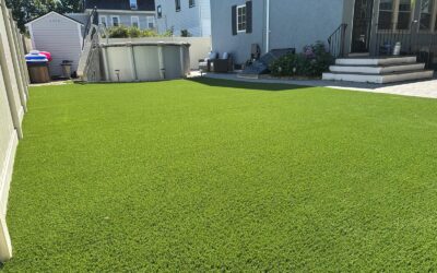 Highlight Project of the Week: Wakefield Backyard