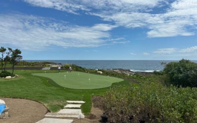 Why Buying Turf from Ideal Turf Outlet Beats the Competition