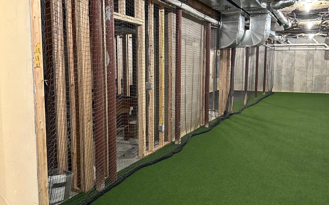 The Importance of Cleaning and Maintaining Indoor Artificial Turf