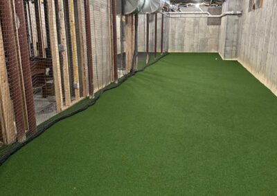 Residential Maintenance Free Turf | Ideal Turf Solutions