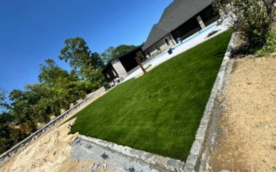 Why Artificial Turf Is a Great Addition to Your Backyard | Ideal Turf Solutions Why Artificial Turf Is a Great Addition to Your Backyard
